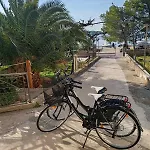 Alisa * Brodarica (Sibenik-Knin)