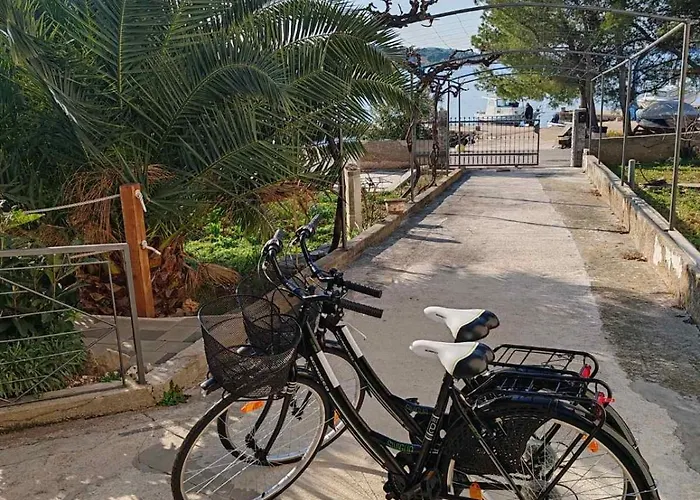 Alisa * ברודאריצה